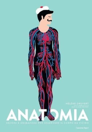 anatomia