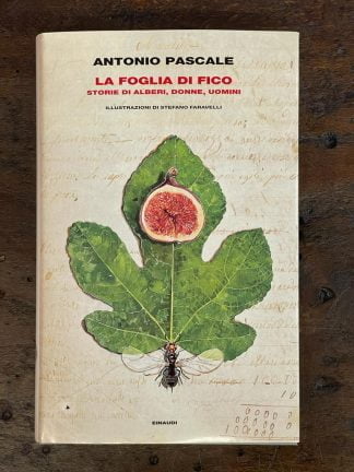 la-foglia-di-fico