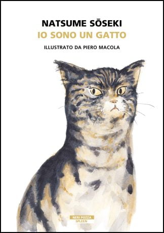 Io-sono-un-gatto