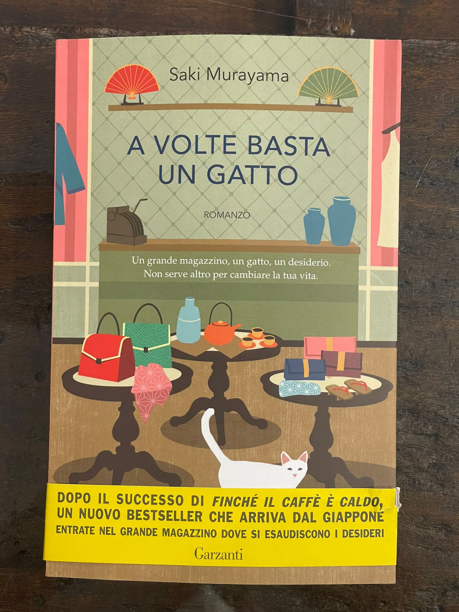 a-volte-basta-un-gatto