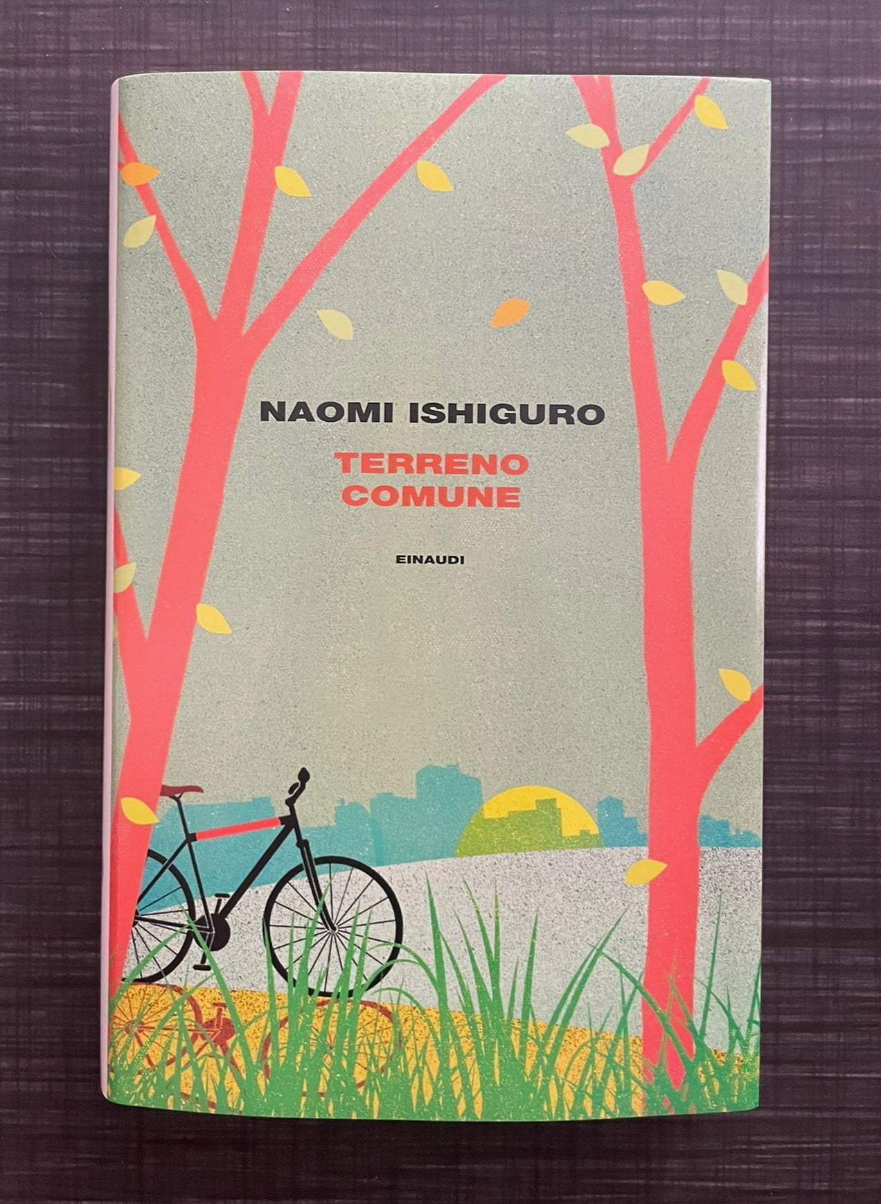 terreno-comune