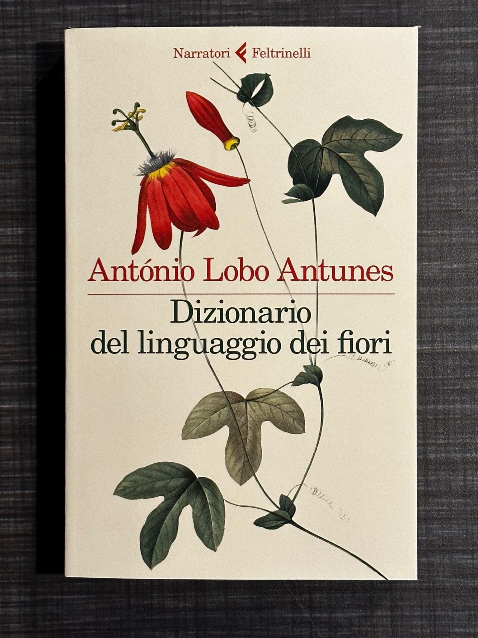 dizionario-del-linguaggio-dei-fiori