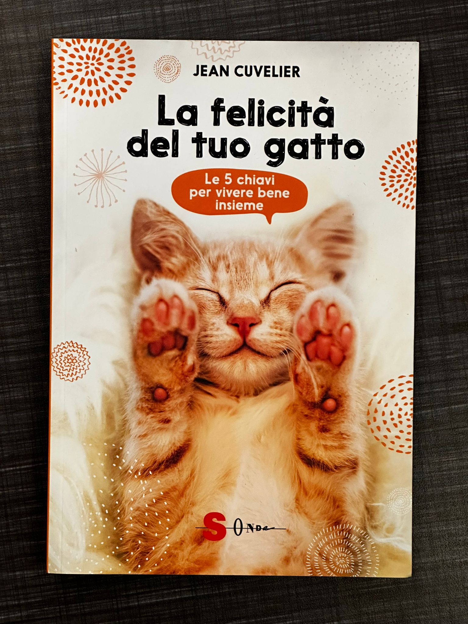la-felicità-del-tuo-gatto