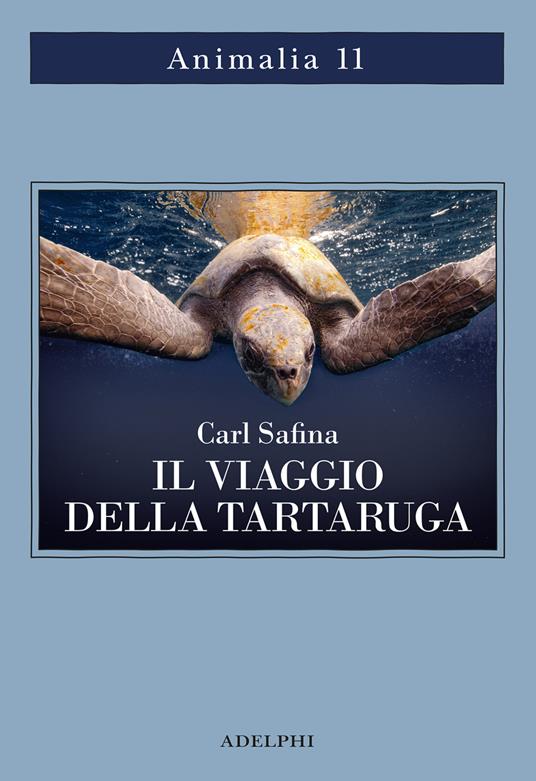 il-viaggio-della-tartaruga