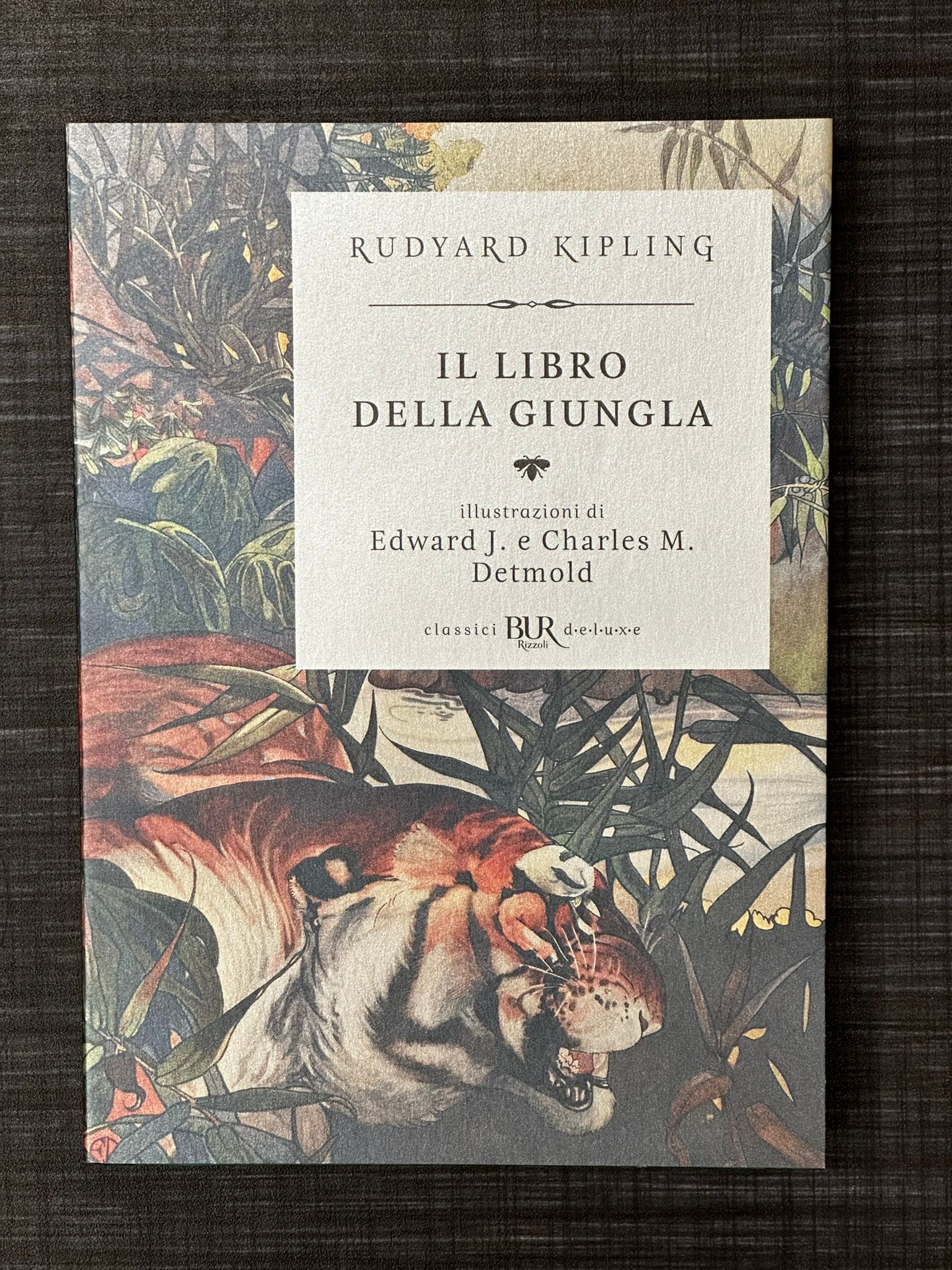 il-libro-della-giungla