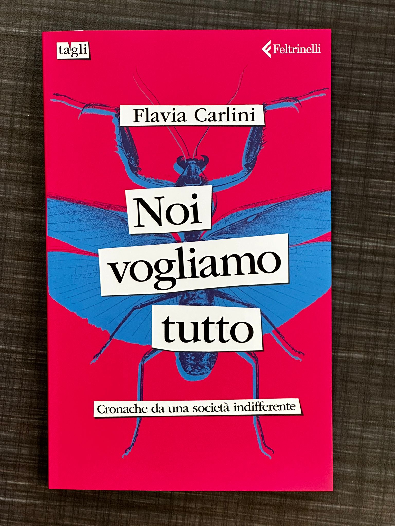noi-vogliamo-tutto-cronache-da-una-società-indifferente