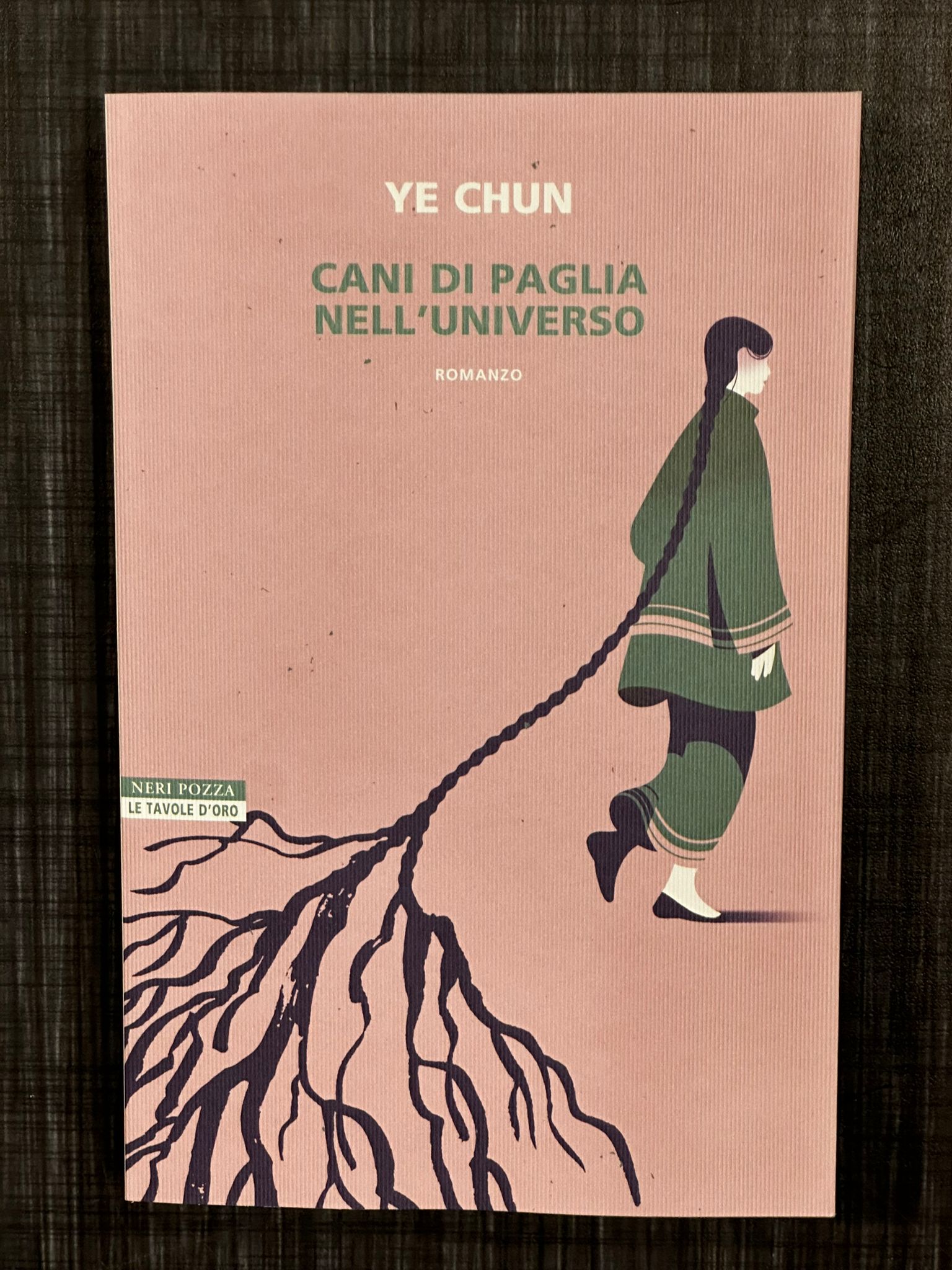 cani-di-paglia-nell'universo