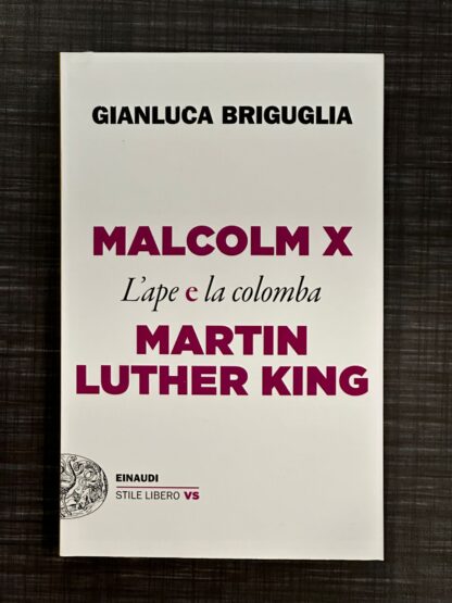 malcolm-x-e-martin-luther-king