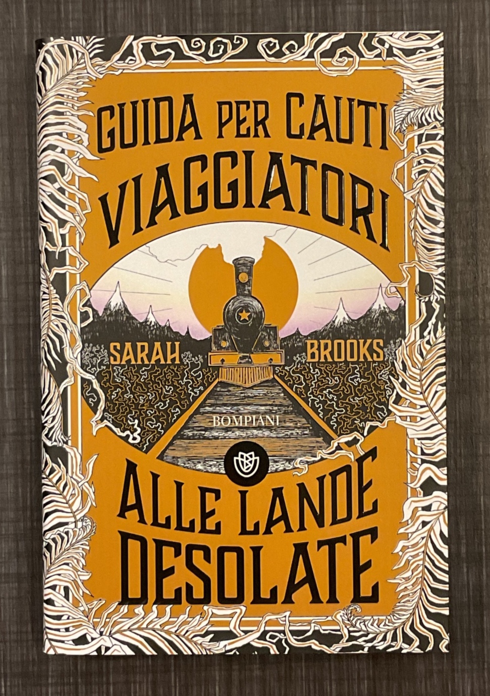 guida-per-cauti-viaggiatori-alle-lande-desolate