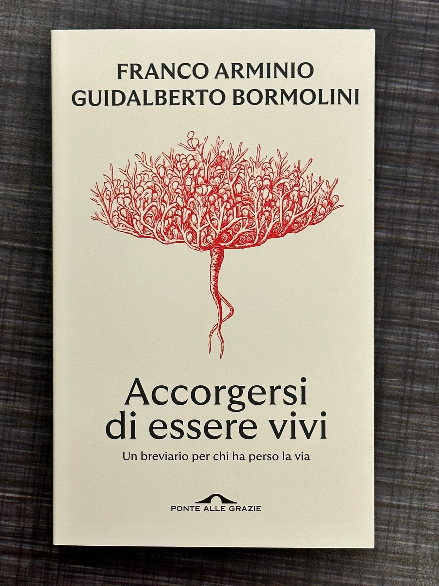 accorgersi-di-essere-vivi