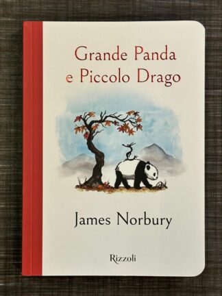 grande-panda-piccolo-drago