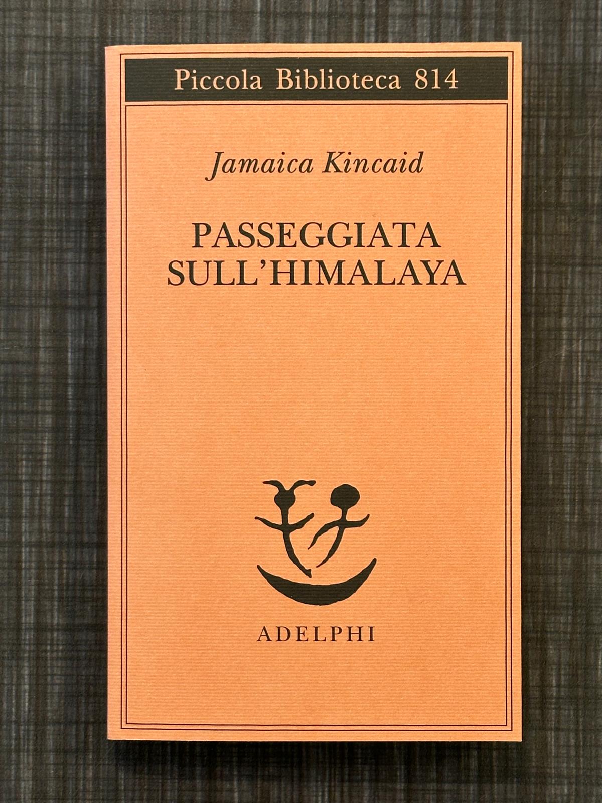 passeggiata-sull'himalaya