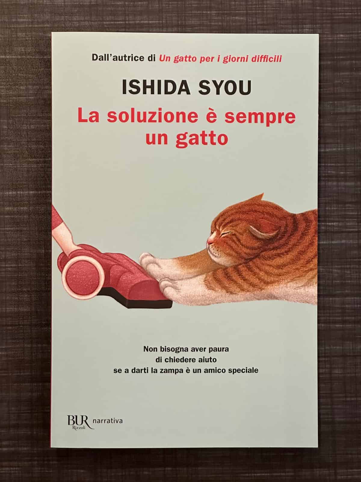 la-soluzione-è-sempre-un-gatto