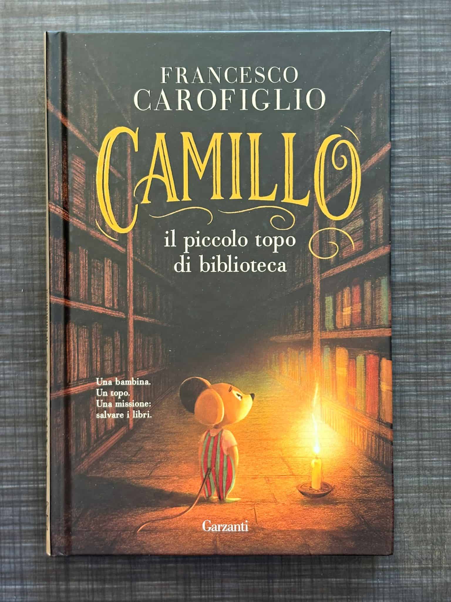 camillo-il-piccolo-topo-di-biblioteca