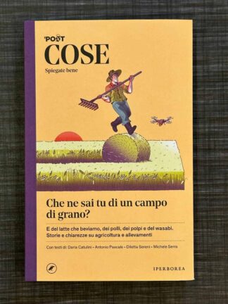 che-ne-sai-tu-di-un-campo-di-grano