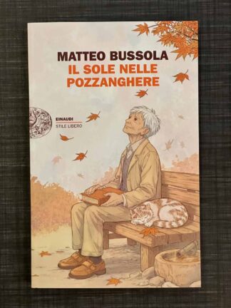 il-sole-nelle-pozzanghere