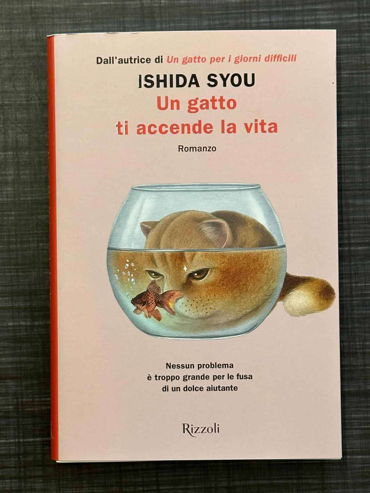 un-gatto-ti-accende-la-vita