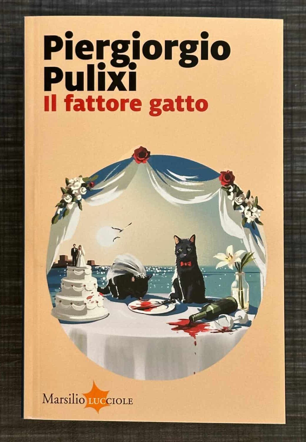 il-fattore-gatto