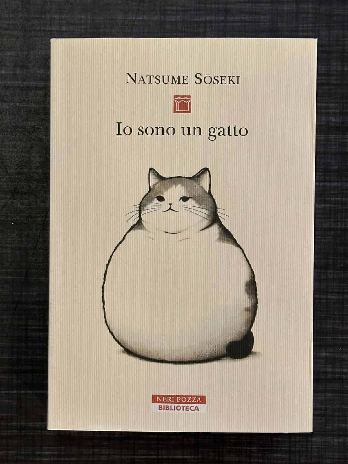 io-sono-un-gatto